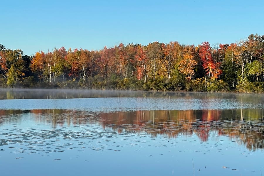 Tree-lined shoreline of Big Williams Lake on the Arrowhead Lake Camp property