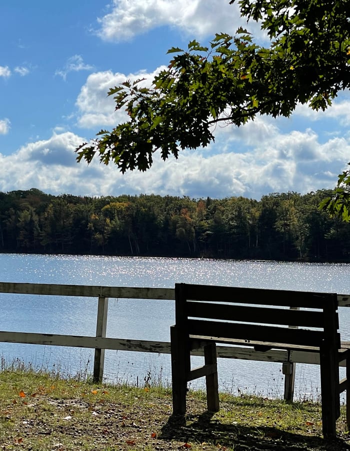 Peaceful northern Michigan lake
